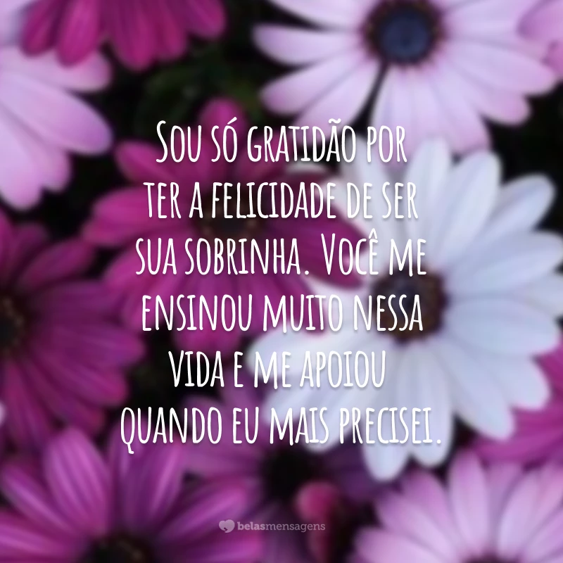 Sou só gratidão por ter a felicidade de ser sua sobrinha. Você me ensinou muito nessa vida e me apoiou quando eu mais precisei.