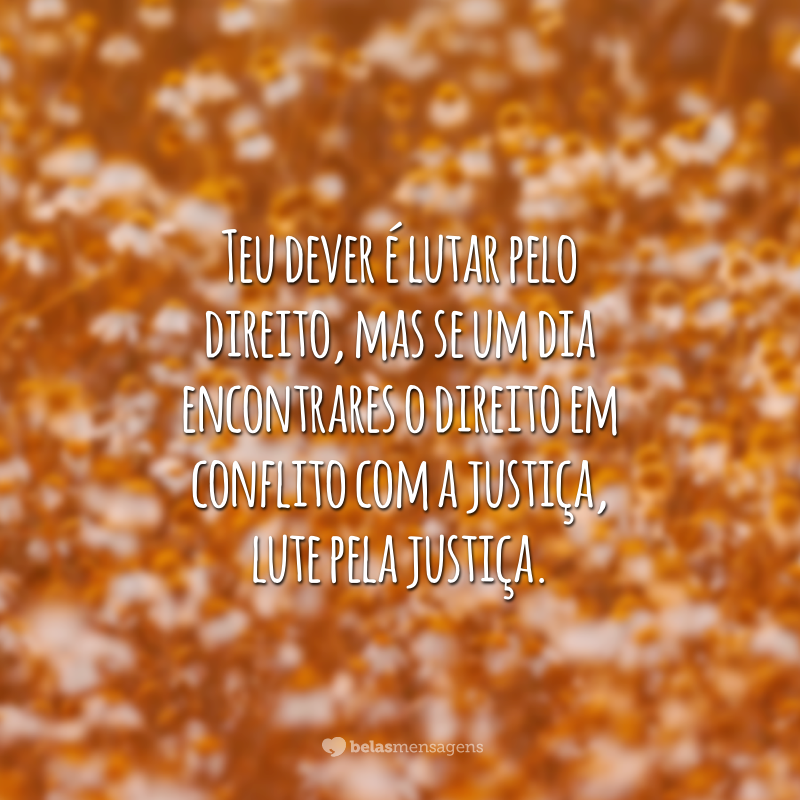 Teu dever é lutar pelo direito, mas se um dia encontrares o direito em conflito com a justiça, lute pela justiça.