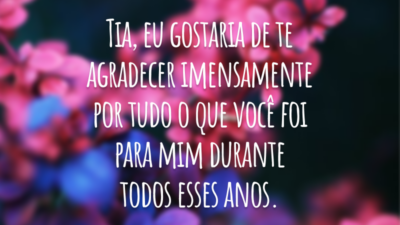 Tia, eu gostaria de te agradecer imensamente por tudo o que você foi para mim durante todos esses anos.