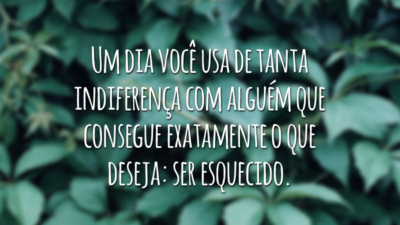 Um dia você usa de tanta indiferença com alguém que consegue exatamente o que deseja: ser esquecido.