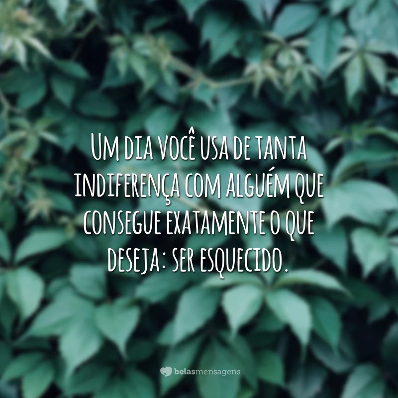 Um dia você usa de tanta indiferença com alguém que consegue exatamente o que deseja: ser esquecido.