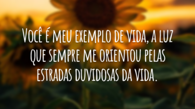 Você é meu exemplo de vida, a luz que sempre me orientou pelas estradas duvidosas da vida.