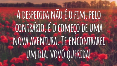 A despedida não é o fim, pelo contrário, é o começo de uma nova aventura. Te encontrarei um dia, vovó querida!