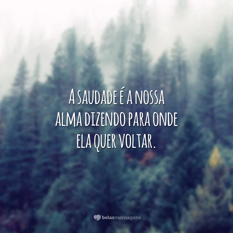 A saudade é a nossa alma dizendo para onde ela quer voltar.