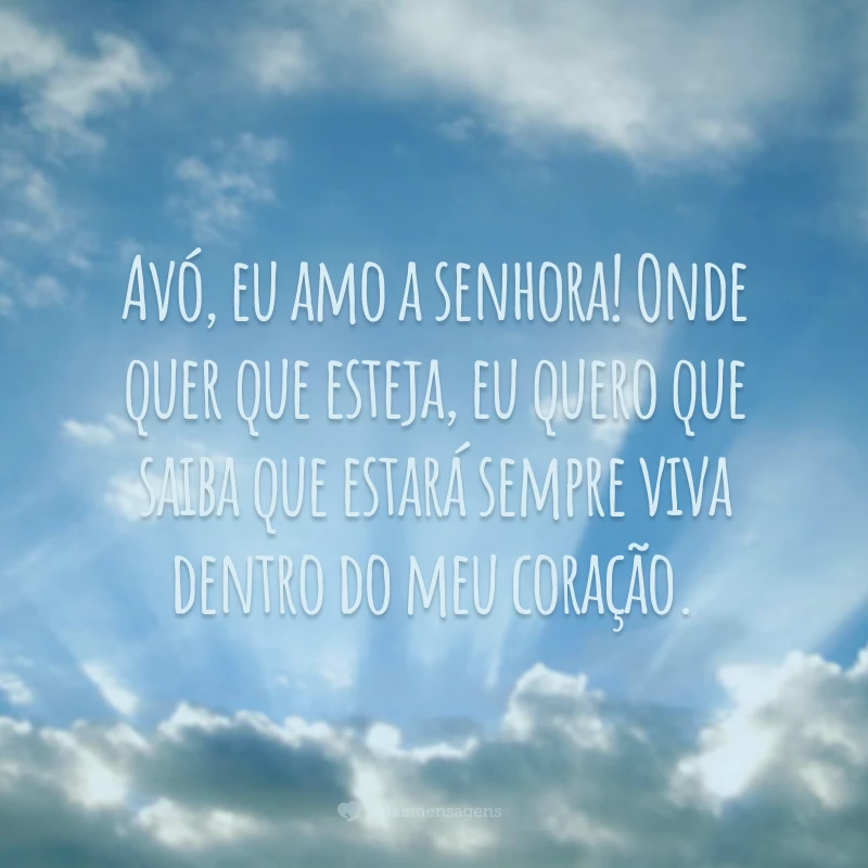 Avó, eu amo a senhora! Onde quer que esteja, eu quero que saiba que estará sempre viva dentro do meu coração.