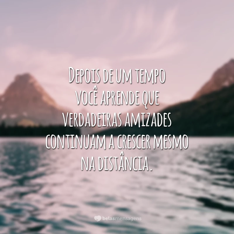 Depois de um tempo você aprende que verdadeiras amizades continuam a crescer mesmo na distância.