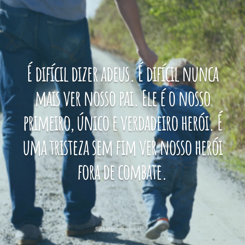 É difícil dizer adeus. É difícil nunca mais ver nosso pai. Ele é o nosso primeiro, único e verdadeiro herói. É uma tristeza sem fim ver nosso herói fora de combate.