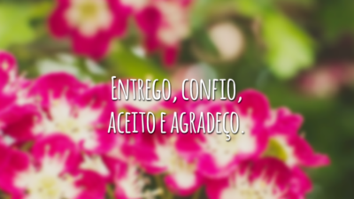 Entrego, confio, aceito e agradeço.