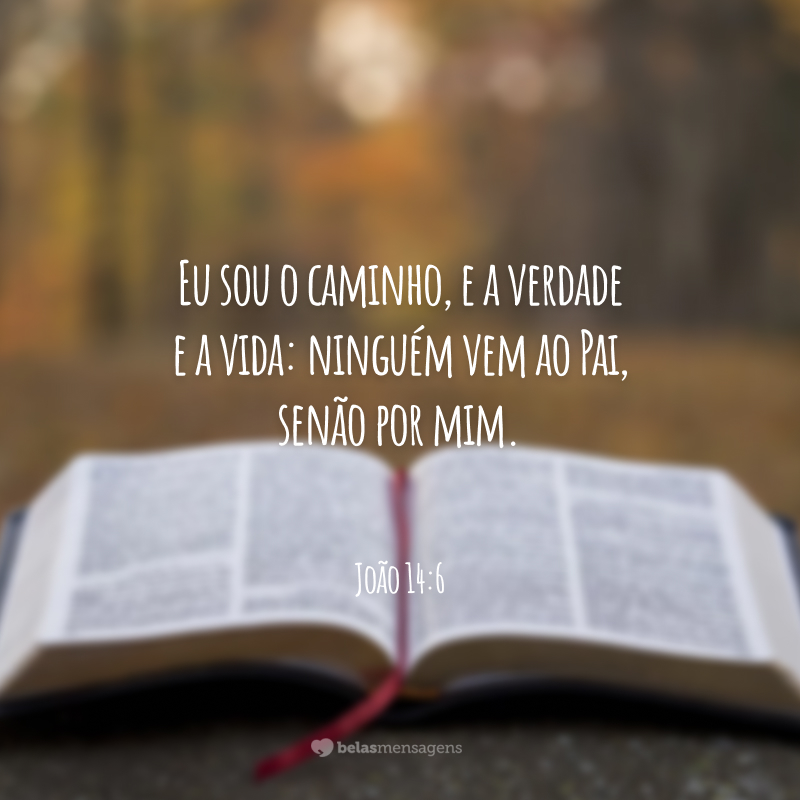 Eu sou o caminho, e a verdade e a vida: ninguém vem ao Pai, senão por mim.