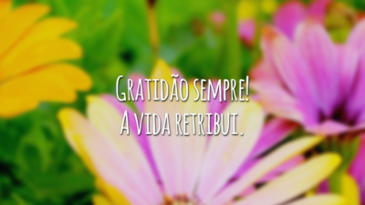 Gratidão sempre! A vida retribui.