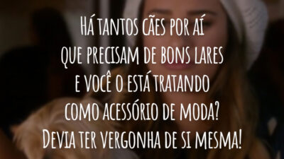 Há tantos cães por aí que precisam de bons lares e você o está tratando como acessório de moda? Devia ter vergonha de si mesma!