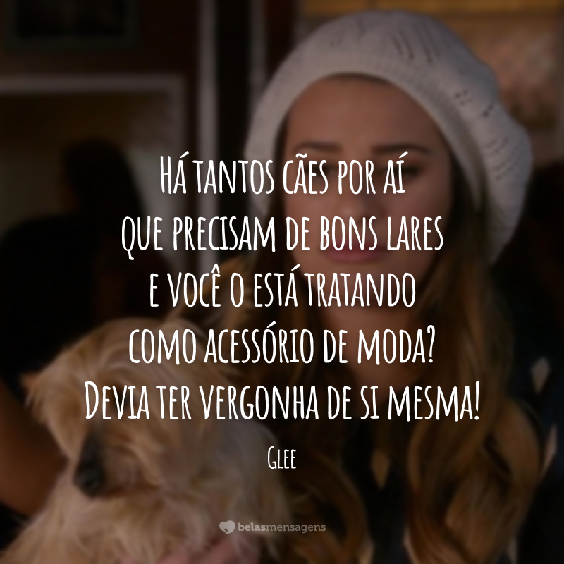 Há tantos cães por aí que precisam de bons lares e você o está tratando como acessório de moda? Devia ter vergonha de si mesma!