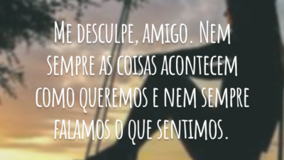 Me desculpe, amigo. Nem sempre as coisas acontecem como queremos e nem sempre falamos o que sentimos.