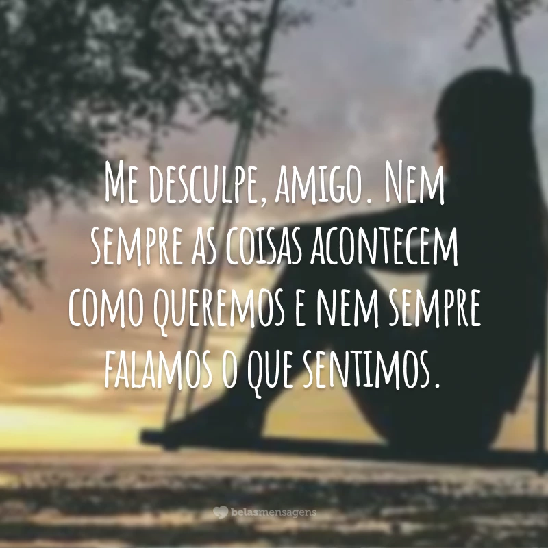 Me desculpe, amigo. Nem sempre as coisas acontecem como queremos e nem sempre falamos o que sentimos.