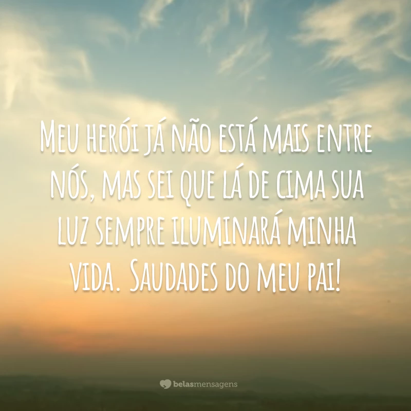 Meu herói já não está mais entre nós, mas sei que lá de cima sua luz sempre iluminará minha vida. Saudades do meu pai!