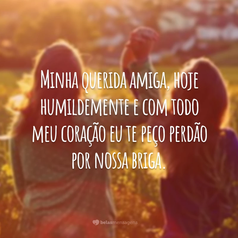 Minha querida amiga, hoje humildemente e com todo meu coração eu te peço perdão por nossa briga.