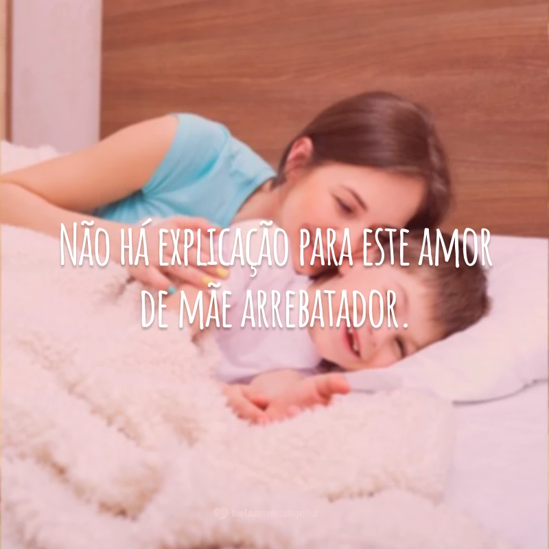 Não há explicação para este amor de mãe arrebatador.