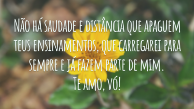 Não há saudade e distância que apaguem teus ensinamentos, que carregarei para sempre e já fazem parte de mim. Te amo, vó!