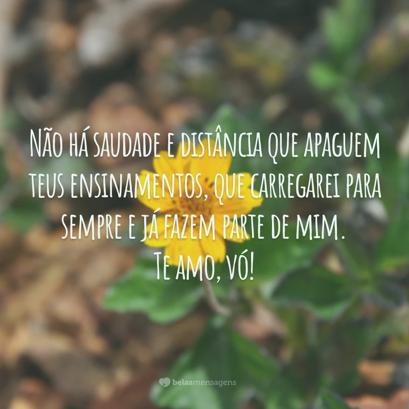 Não há saudade e distância que apaguem teus ensinamentos, que carregarei para sempre e já fazem parte de mim. Te amo, vó!