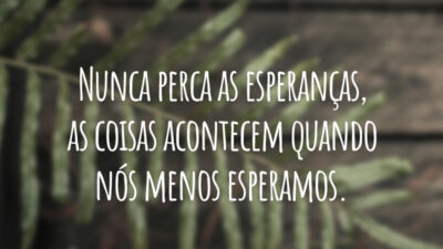 Nunca perca as esperanças, as coisas acontecem quando nós menos esperamos.