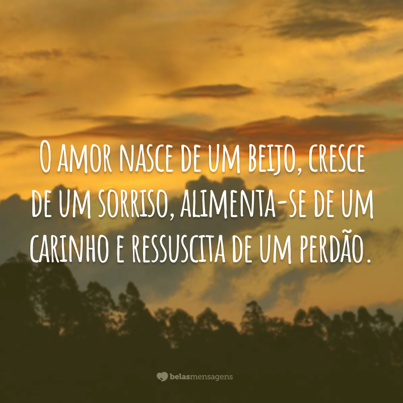 O amor nasce de um beijo, cresce de um sorriso, alimenta-se de um carinho e ressuscita de um perdão.