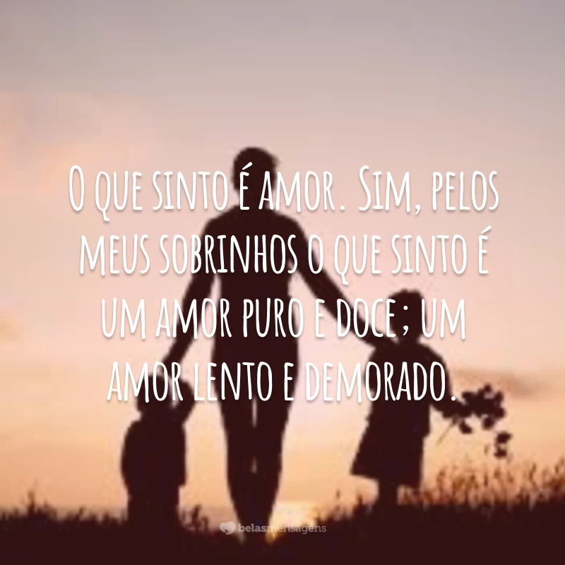 O que sinto é amor. Sim, pelos meus sobrinhos o que sinto é um amor puro e doce; um amor lento e demorado.