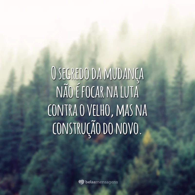 O segredo da mudança não é focar na luta contra o velho, mas na construção do novo.