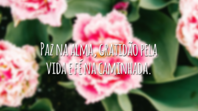 Paz na alma, gratidão pela vida e fé na caminhada.