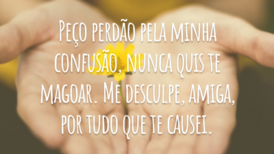 Peço perdão pela minha confusão, nunca quis te magoar. Me desculpe, amiga, por tudo que te causei.