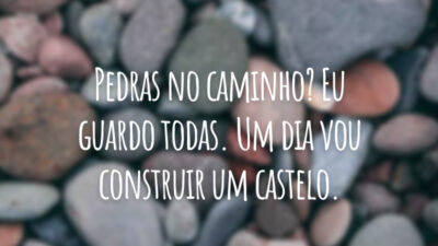 Pedras no caminho? Eu guardo todas. Um dia vou construir um castelo.