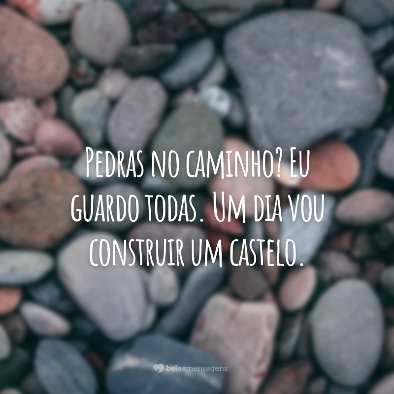 Pedras no caminho? Eu guardo todas. Um dia vou construir um castelo.