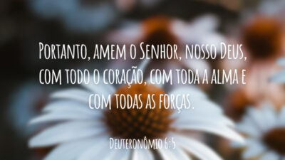 Portanto, amem o Senhor, nosso Deus, com todo o coração, com toda a alma e com todas as forças.