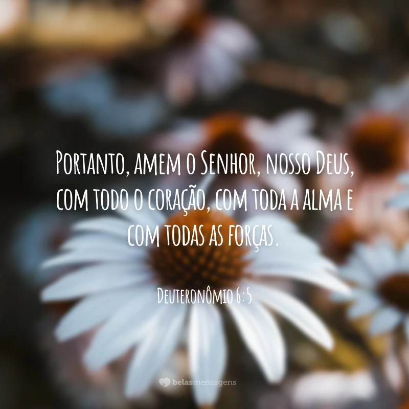 Portanto, amem o Senhor, nosso Deus, com todo o coração, com toda a alma e com todas as forças.