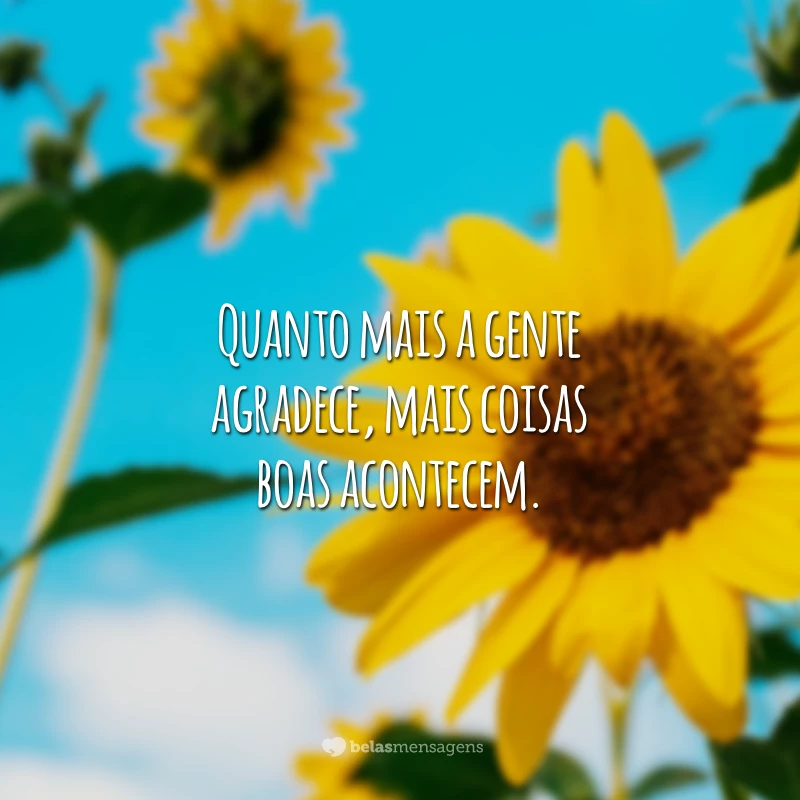 Quanto mais a gente agradece, mais coisas boas acontecem.