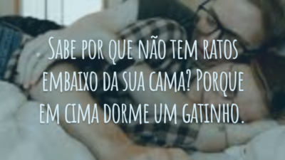 Sabe por que não tem ratos embaixo da sua cama? Porque em cima dorme um gatinho.