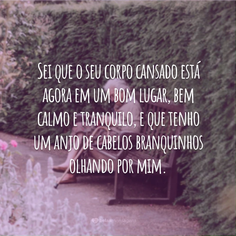 Sei que o seu corpo cansado está agora em um bom lugar, bem calmo e tranquilo, e que tenho um anjo de cabelos branquinhos olhando por mim.