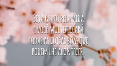 Seja grato pela vida e você multiplicará todas as coisas boas que podem lhe acontecer.