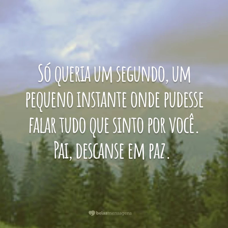 Só queria um segundo, um pequeno instante onde pudesse falar tudo que sinto por você. Pai, descanse em paz.