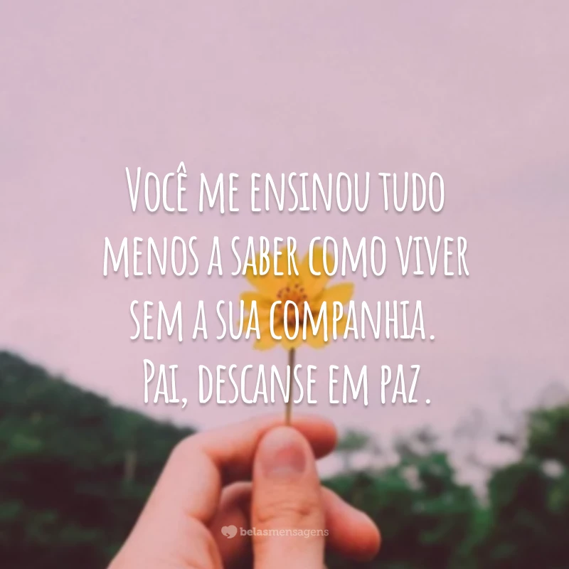 Você me ensinou tudo menos a saber como viver sem a sua companhia. Pai, descanse em paz.