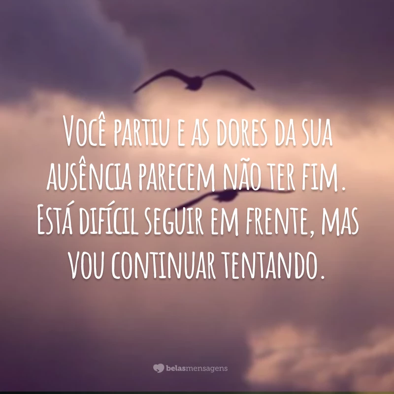 Você partiu e as dores da sua ausência parecem não ter fim. Está difícil seguir em frente, mas vou continuar tentando.