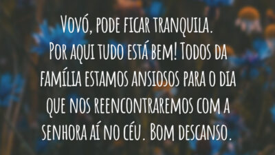 Vovó, pode ficar tranquila. Por aqui tudo está bem! Todos da família estamos ansiosos para o dia que nos reencontraremos com a senhora aí no céu. Bom descanso.