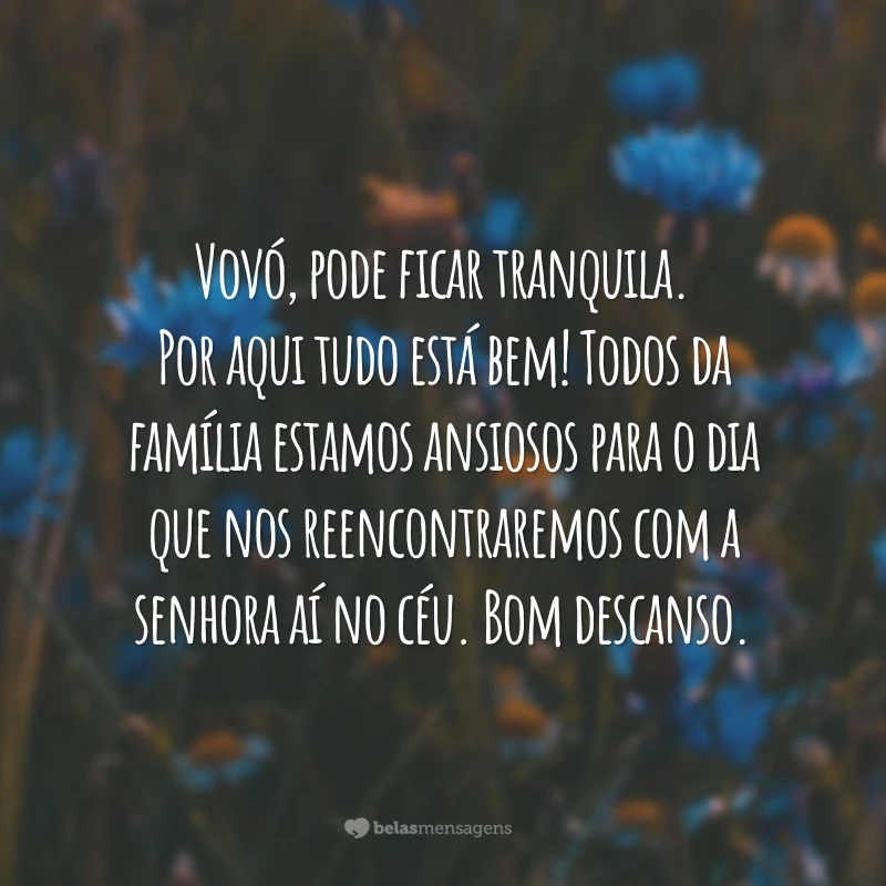 Vovó, pode ficar tranquila. Por aqui tudo está bem! Todos da família estamos ansiosos para o dia que nos reencontraremos com a senhora aí no céu. Bom descanso.