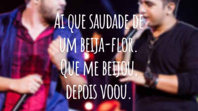 Ai que saudade de um beija-flor. Que me beijou, depois voou.