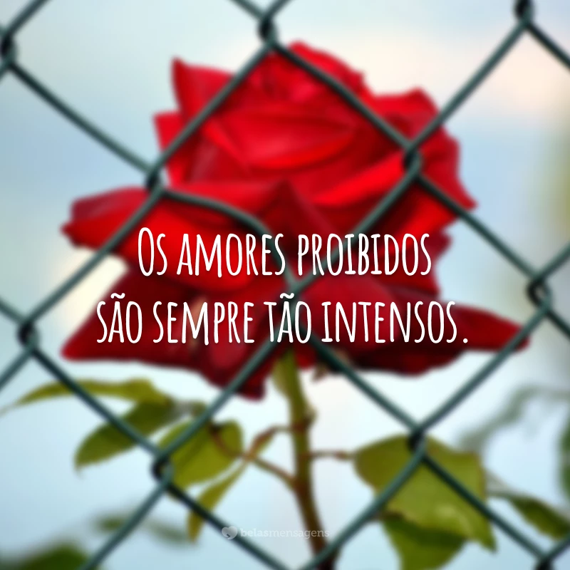 Os amores proibidos são sempre tão intensos.