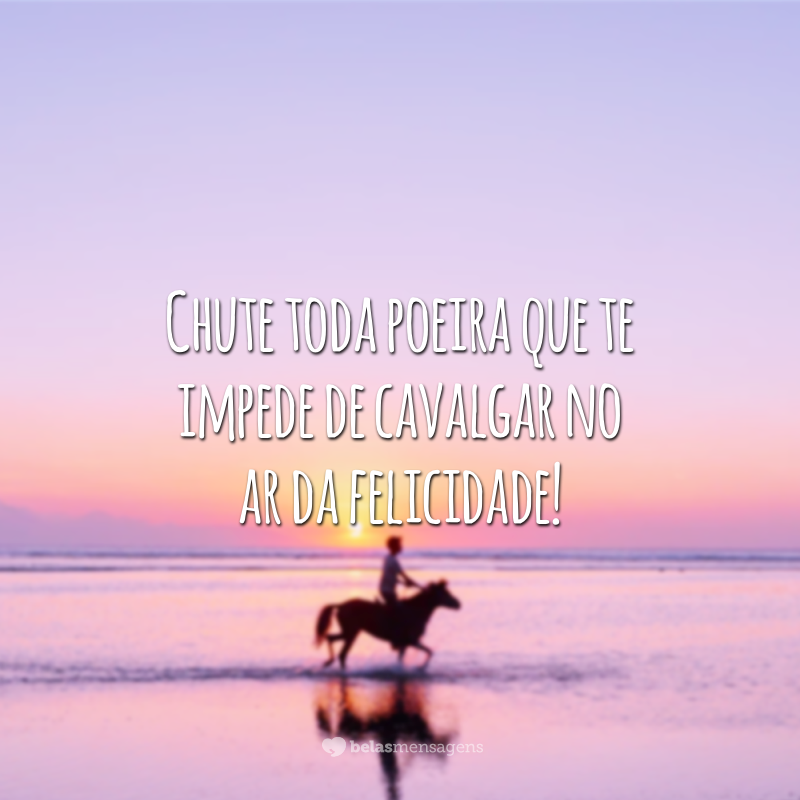 Chute toda poeira que te impede de cavalgar no ar da felicidade!