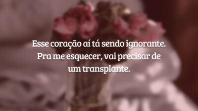 Esse coração aí tá sendo ignorante. Pra me esquecer, vai precisar de um transplante.