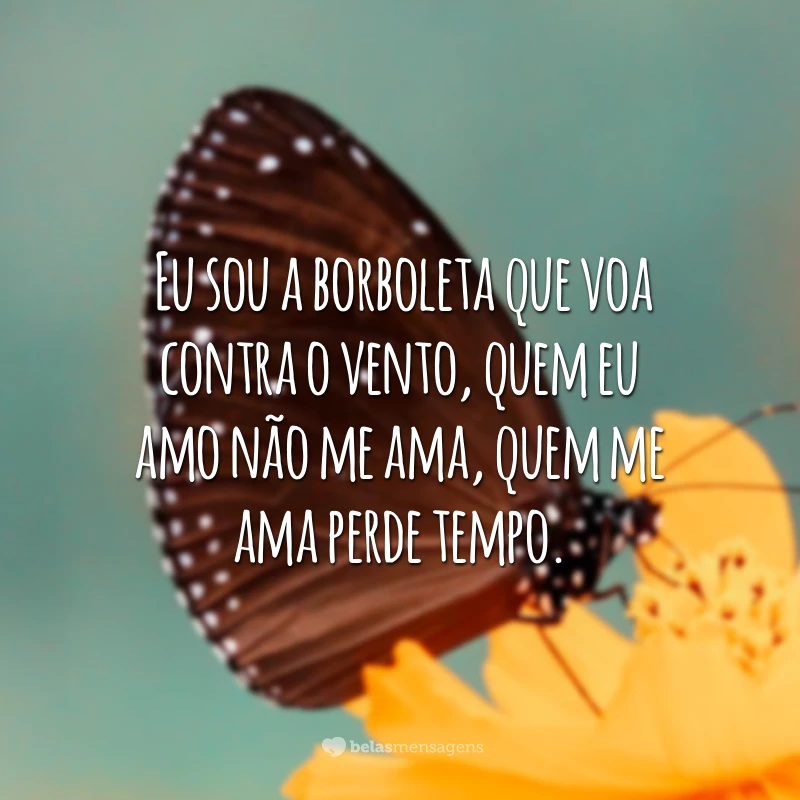 Eu sou a borboleta que voa contra o vento, quem eu amo não me ama, quem me ama perde tempo.