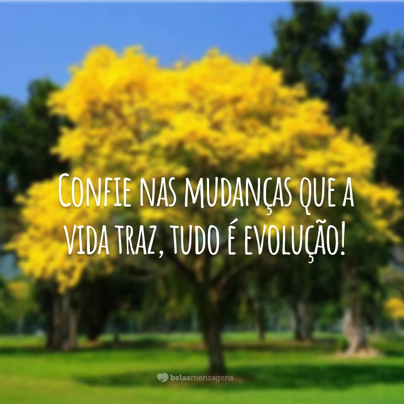 Confie nas mudanças que a vida traz, tudo é evolução!