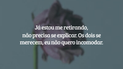 Já estou me retirando, não precisa se explicar. Os dois se merecem, eu não quero incomodar.