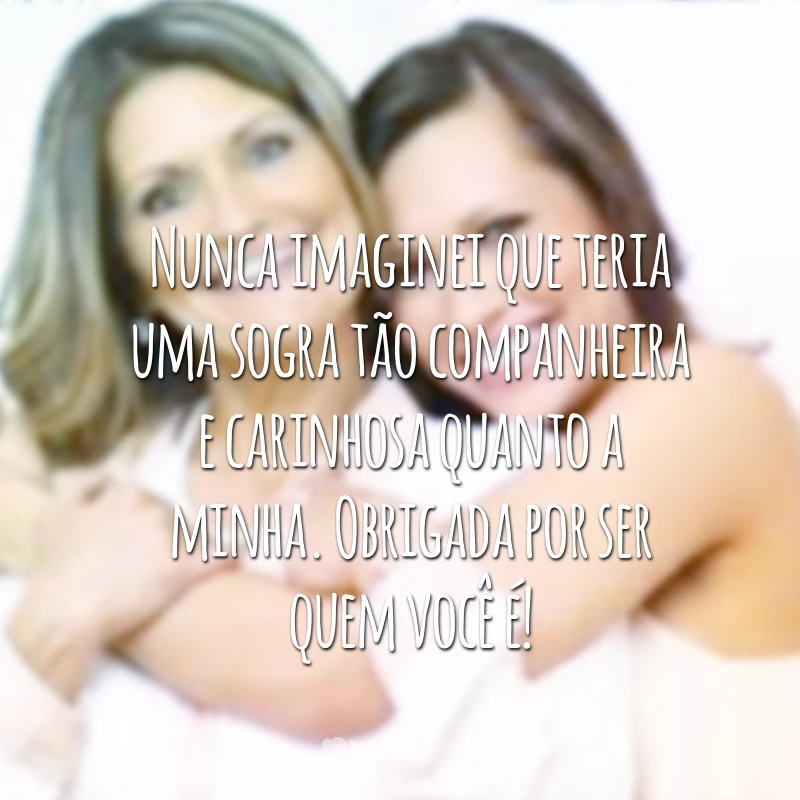 Nunca imaginei que teria uma sogra tão companheira e carinhosa quanto a minha. Obrigada por ser quem você é!